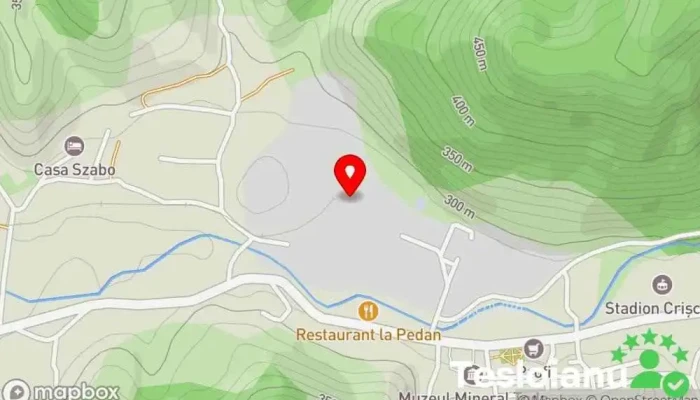 hartă a Atelierele Centrale Crișcior Companie de cale ferată în Barza