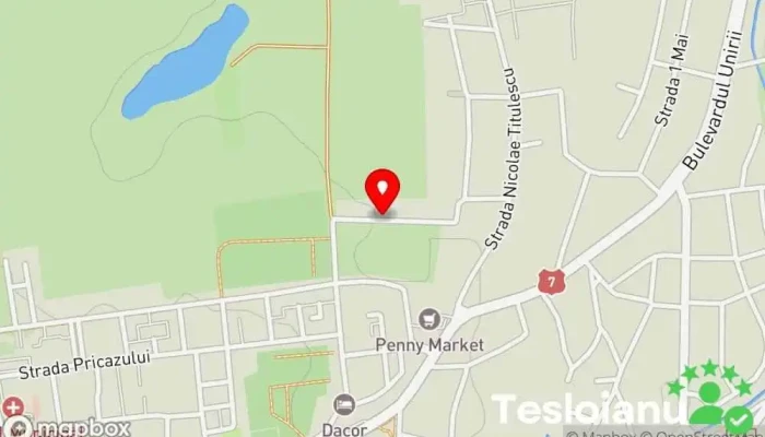 hartă a Atelierul de Ozon Service auto pentru optimizări în Orăștie