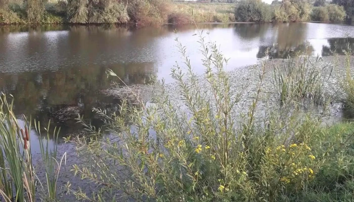 Augustin -  Zonă - Augustin