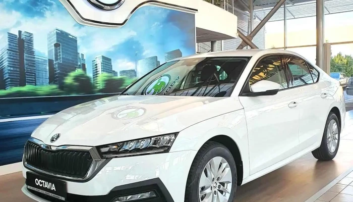 Autec Autotechnik -    Skoda Pitesti Interior - Geamăna