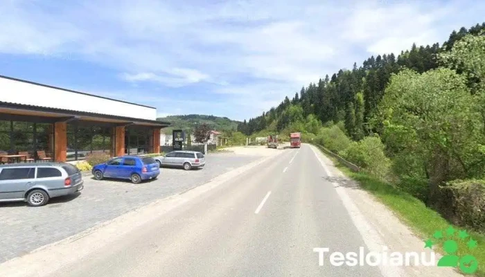 Auto Costea - România