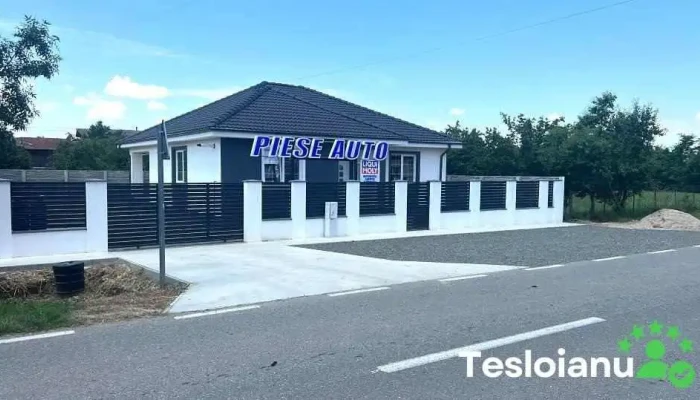Auto Instant Parts - Peciu Nou 307310