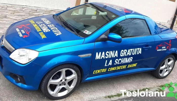 Auto Mario Expert Srl -  Număr - Deva