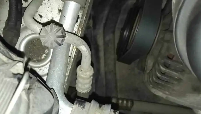 Auto Prest Maxim - Cernavodă 905200
