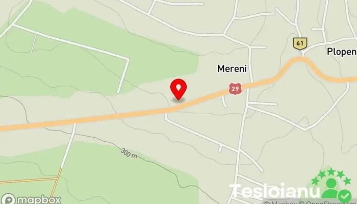 hartă a Auto Service Neagu Service auto în Plopeni