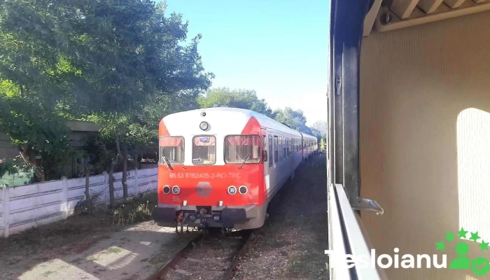 Autogara Oltenita -  Videoclipuri - Oltenița
