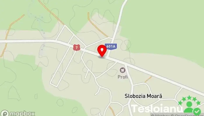 hartă a AutoStop Vulcanizare Spalatorie Service Piese Auto Service auto în Slobozia Moară