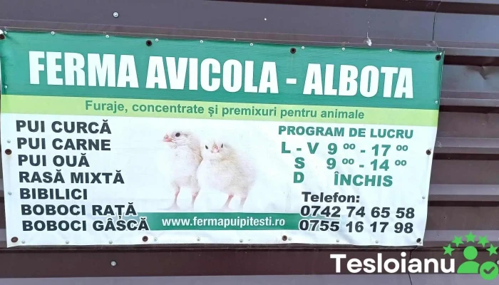 Avicola Albota - Albota