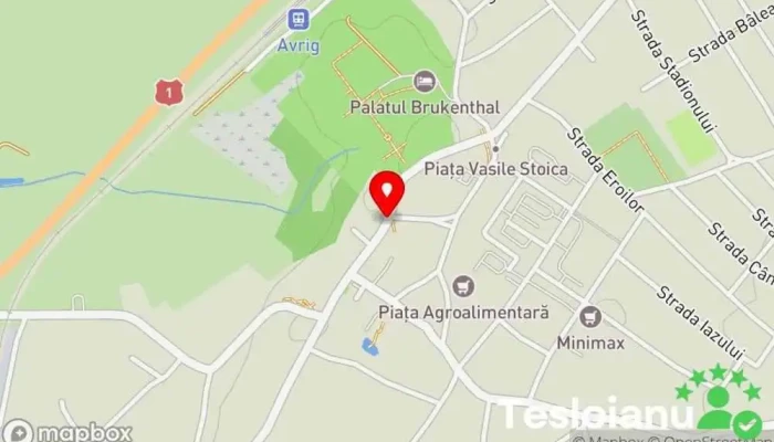 hartă a Avrig  în Avrig