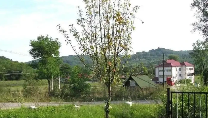 Babana - Babana