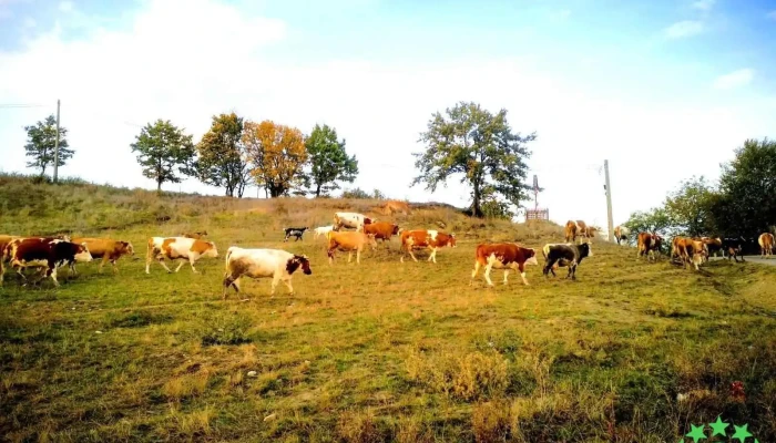 Babta Aproape De Mine - Babţa