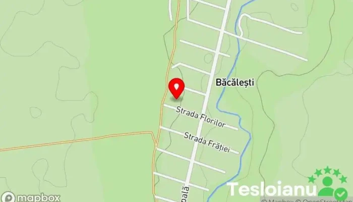hartă a Băcăleşti  în Băcăleşti