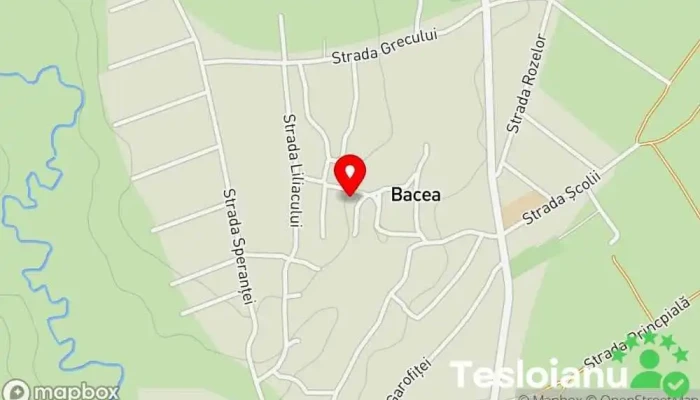 Bacea - Bacea