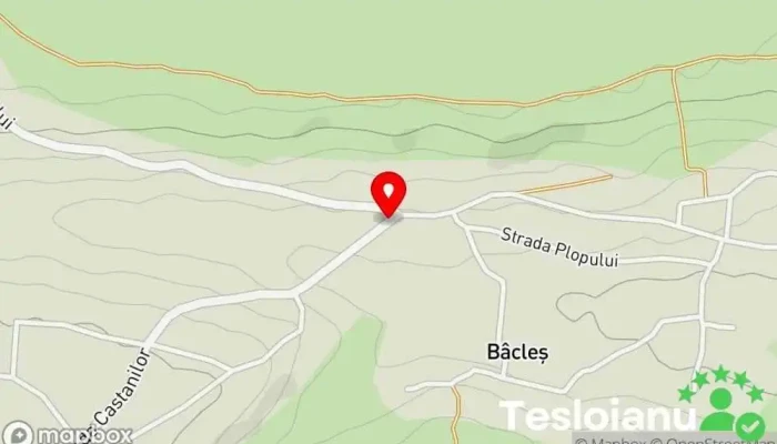 hartă a Bâcleş  în Bâcleş