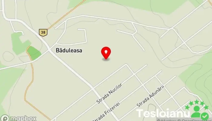 hartă a Băduleasa  în Băduleasa