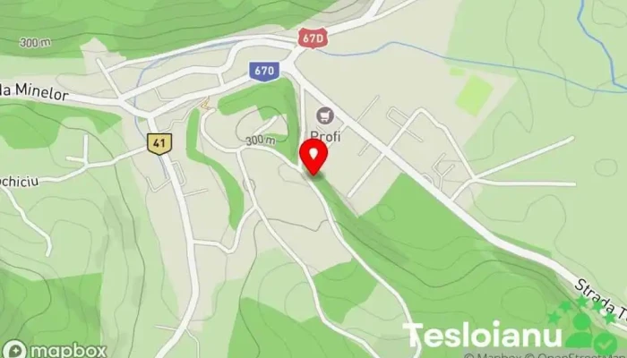 hartă a Baia de Aramă  în Baia de Aramă