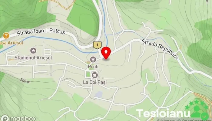 hartă a Baia de Arieș  în Baia de Arieș