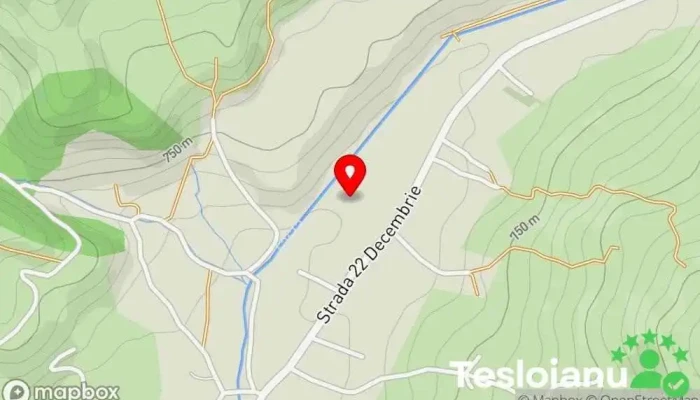 hartă a Băile Borșa  în Băile Borșa