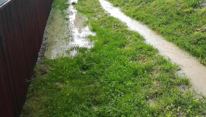 Baita De Sub Codru Aproape De Mine - Băiţa De Sub Codru