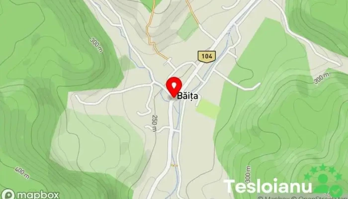 hartă a Băița  în Băița