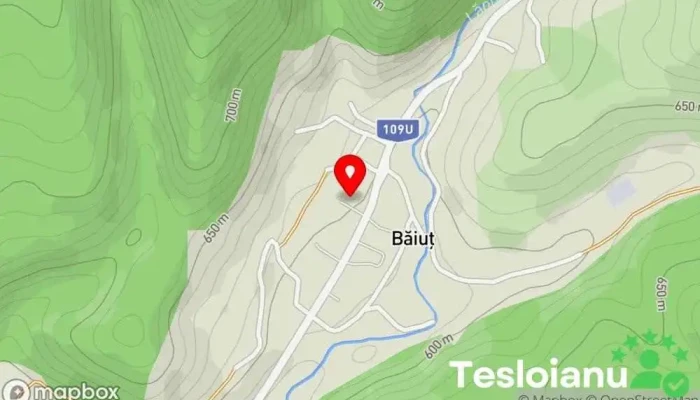 hartă a Băiuț  în Băiuț