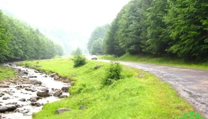 Baiut Munte - Băiuț