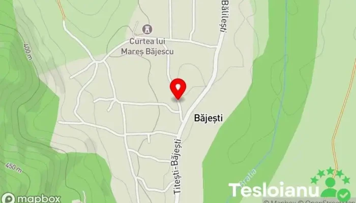 hartă a Băjești  în Băjești