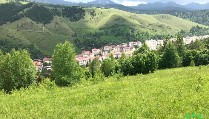 Balan Munte - Bălan