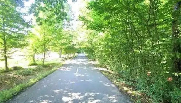 Balci Tismana Street View Si 360deg - Tismana