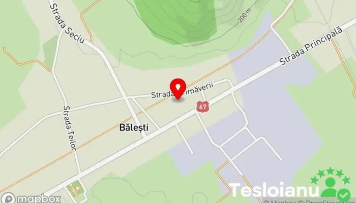 hartă a Băleşti  în Băleşti