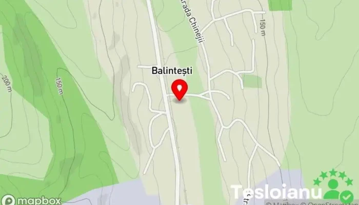 Balintești - Balintești