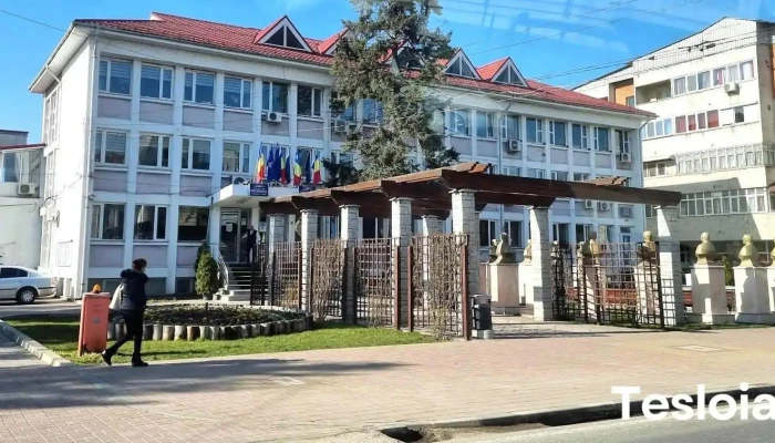 Bals Program - Balș
