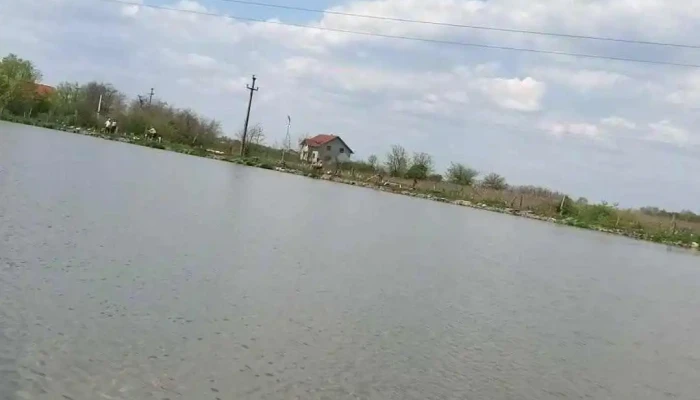 Balta Agris -  Videoclipuri - Agriş