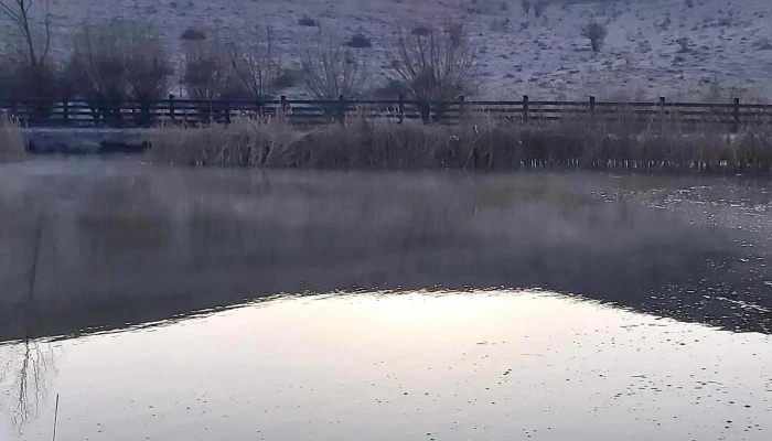 Balta Alamor La Moraru Recenzii - Romania