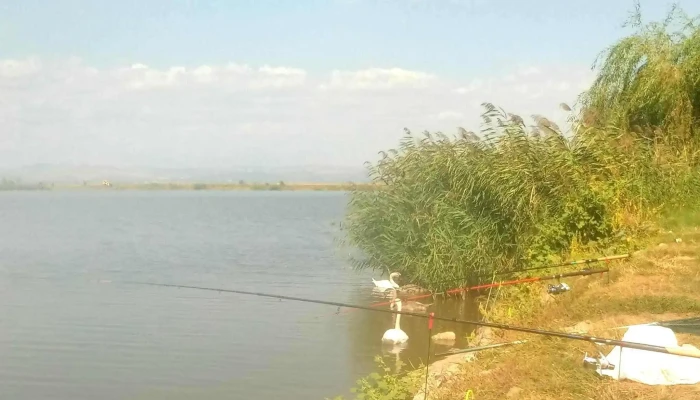 Balta Balana -  Zonă - Fulga De Jos