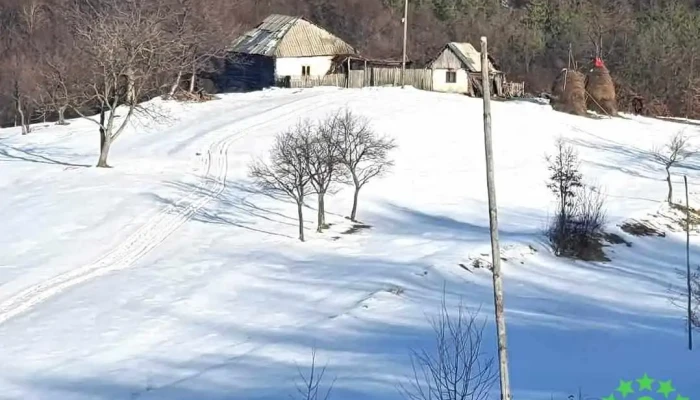 Balta - Balta