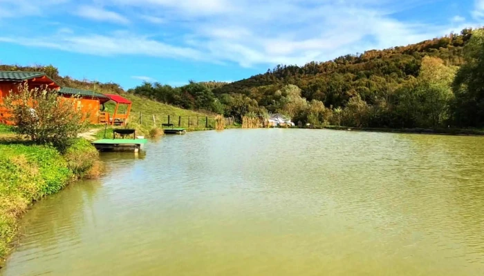 Balta Boiu Mare -  Recenzii - Boiu Mare