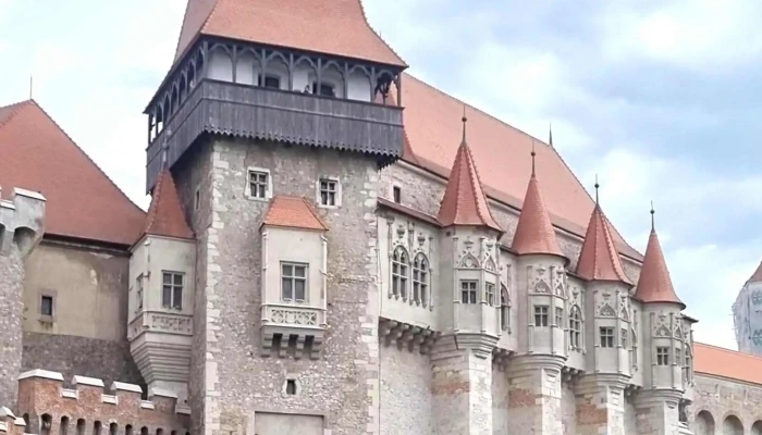 Balta Boiu Mare -  Reduceri - Boiu Mare