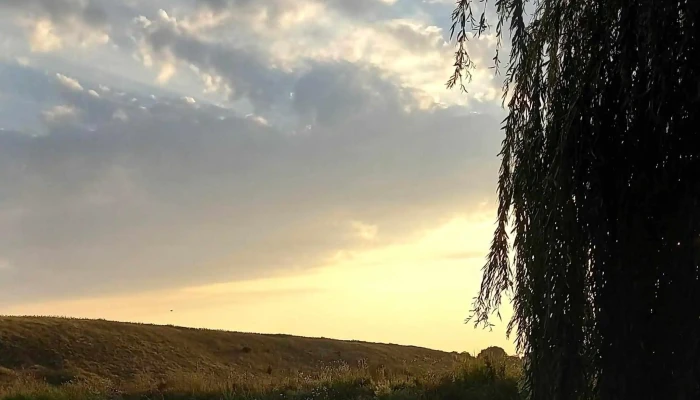 Balta Brabeti Număr - Brabeţi