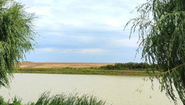 Balta Buzoesti -  Site Web - Comuna Buzoești