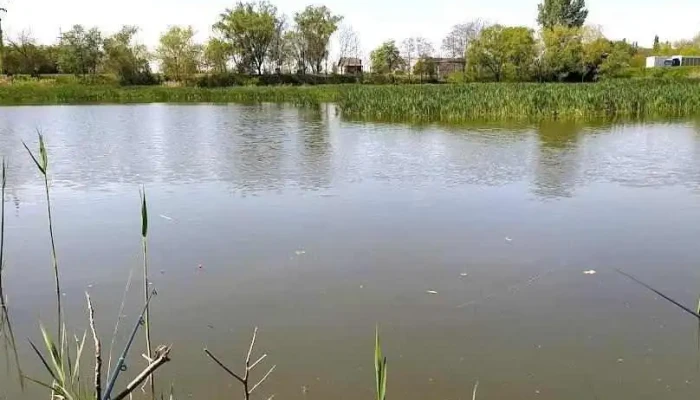 Balta Chișoda - Chișoda