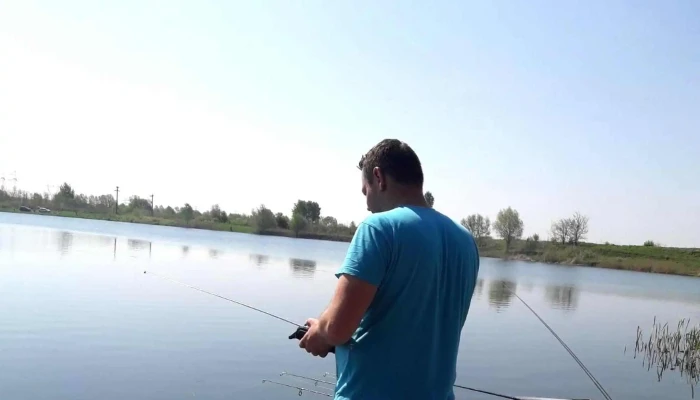 Balta Clinceni -  Adresă - Romania