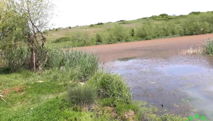 Balta Coșoveni - Romania