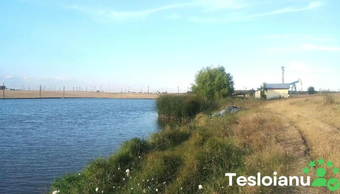 Balta de pescuit Cosmești - România