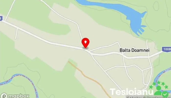 hartă a Balta Doamnei  în Balta Doamnei