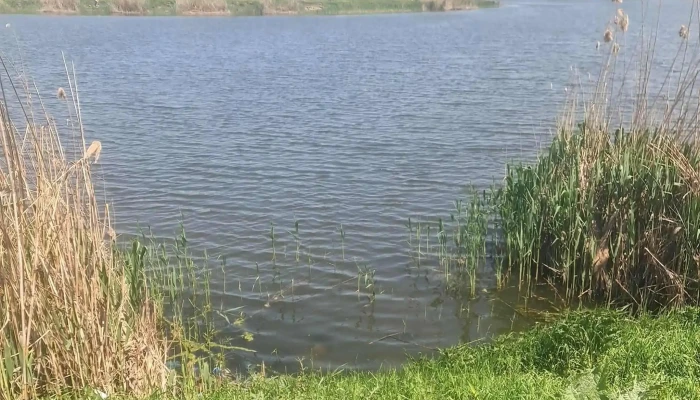 Balta Dragoesti Fosta Bgs Adresă - Drăgoeşti