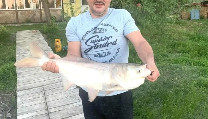 Balta Giurgita -  De La Proprietar - Giurgița