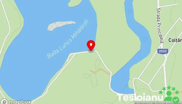 hartă a Balta Lunca Mihăilești Lac de pescuit în Unnamed Road