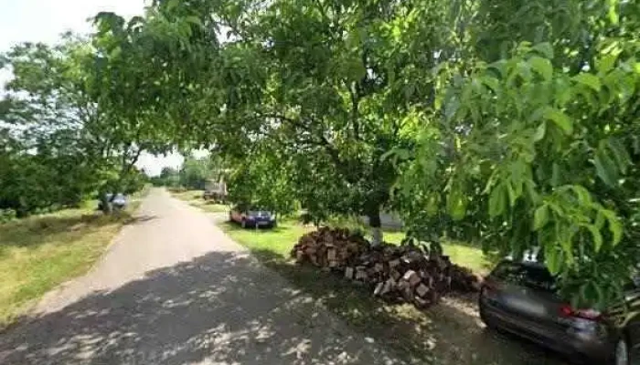 Balta Macea -  Street View Si 360deg - Macea