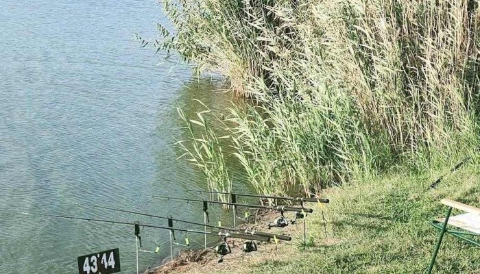 Balta Mare Lupsanu 1 - România